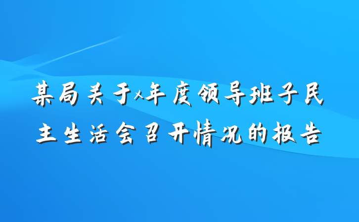 某局关于x年度领导班子民主生活会召开情况的报告