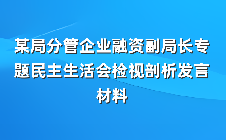 某局分管企业融资副局长专题民主生活会检视剖析发言材料