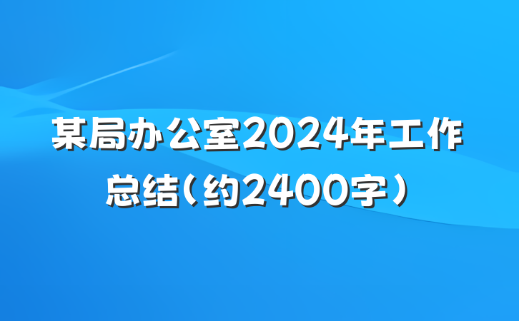 某局办公室2024年工作总结（约2400字）