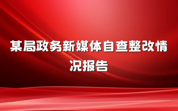 某局政务新媒体自查整改情况报告