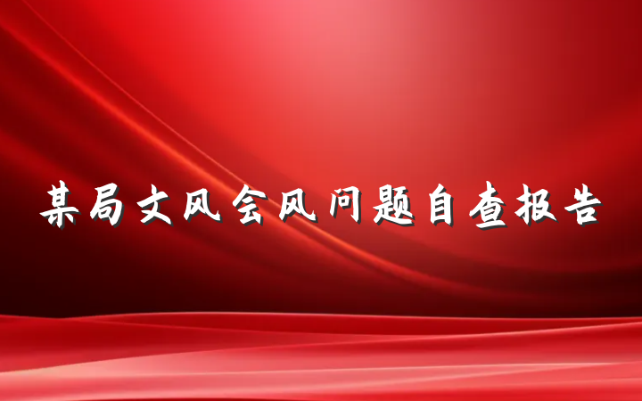 某局文风会风问题自查报告