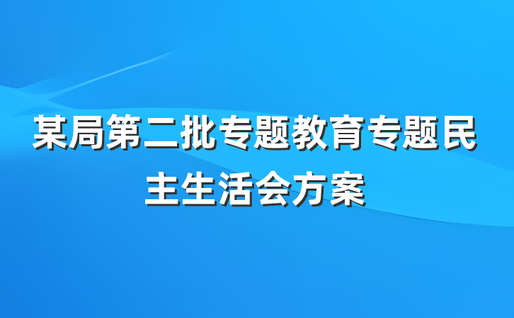 某局第二批专题教育专题民主生活会方案