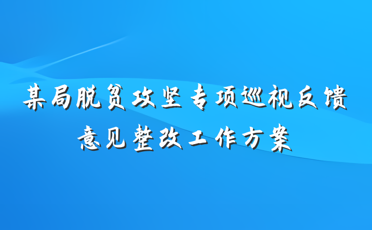 某局脱贫攻坚专项巡视反馈意见整改工作方案
