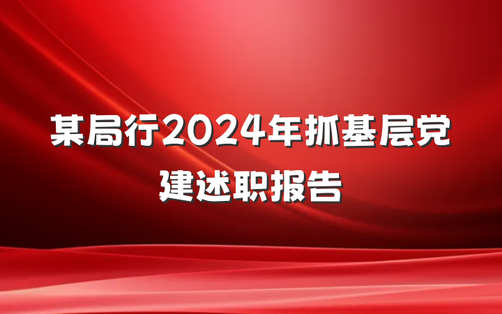 某局行2024年抓基层党建述职报告