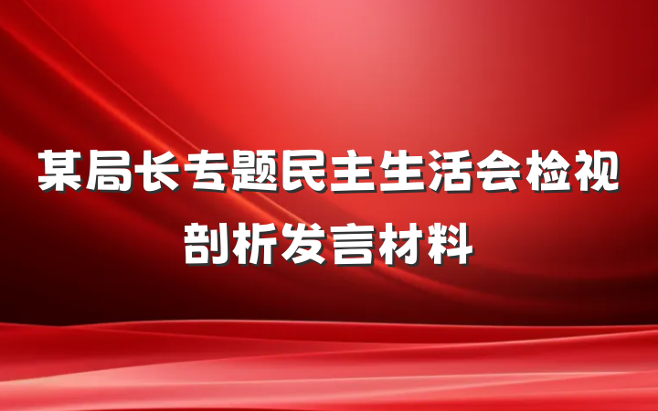 某局长专题民主生活会检视剖析发言材料