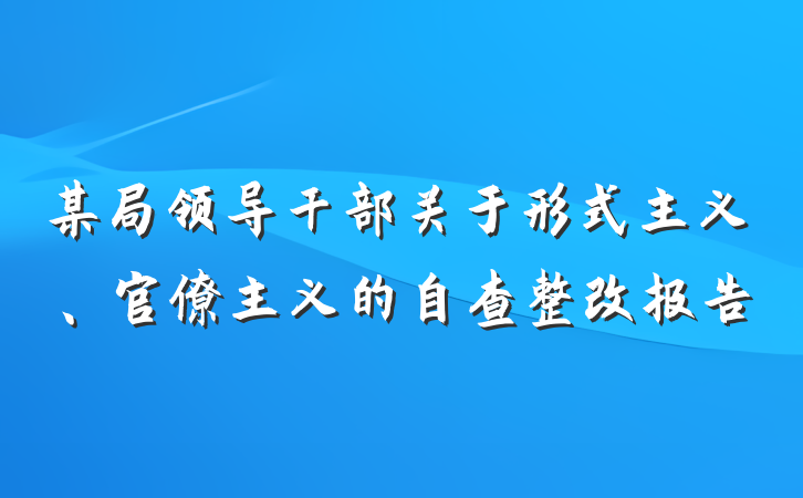 某局领导干部关于形式主义、官僚主义的自查整改报告