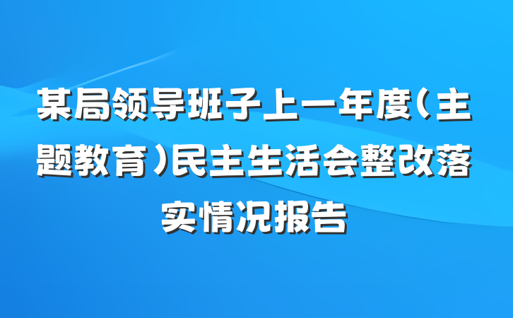 某局领导班子上一年度（主题教育）民主生活会整改落实情况报告