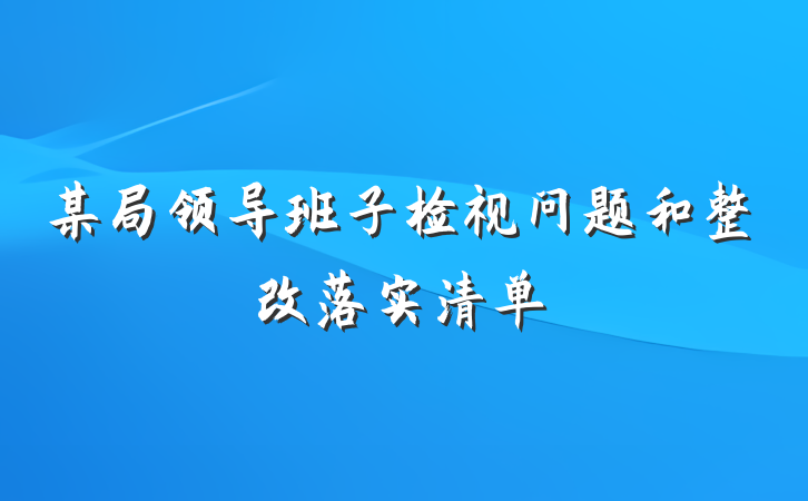 某局领导班子检视问题和整改落实清单