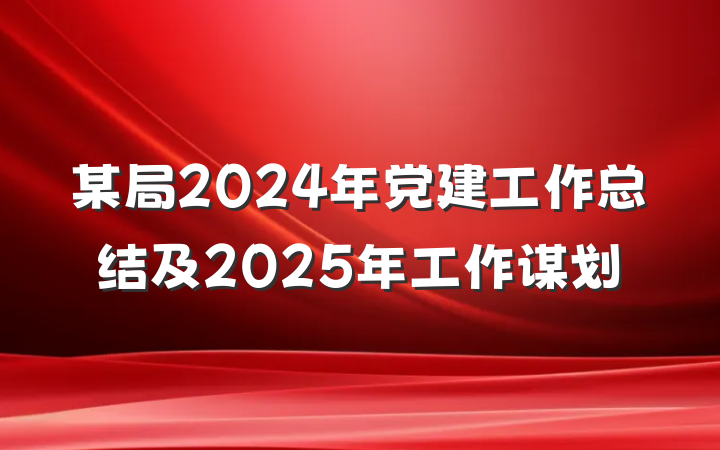 某局2024年党建工作总结及2025年工作谋划