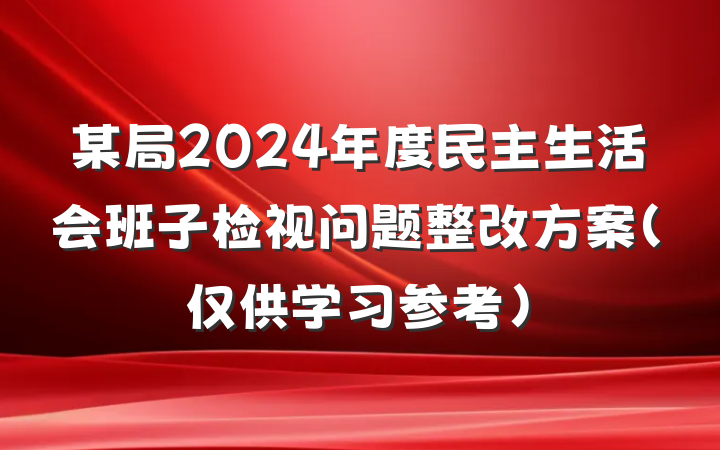 某局2024年度民主生活会班子检视问题整改方案（仅供学习参考）
