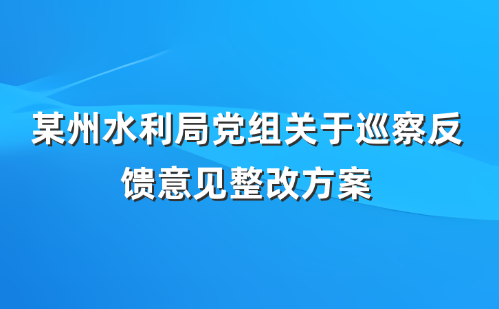 某州水利局党组关于巡察反馈意见整改方案