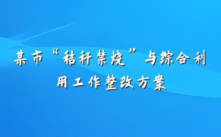 某市“秸秆禁烧”与综合利用工作整改方案