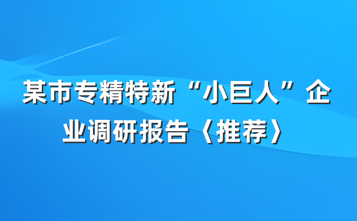 某市专精特新“小巨人”企业调研报告〈推荐〉