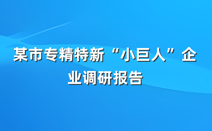 某市专精特新“小巨人”企业调研报告
