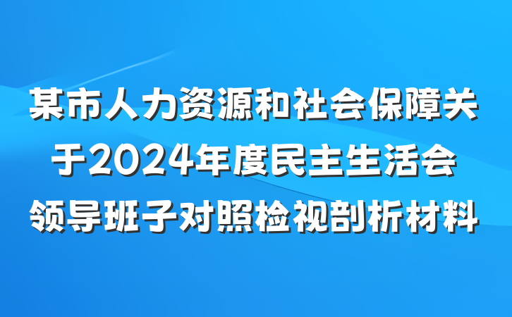 某市人力资源和社会保障关于2024年度民主生活会领导班子对照检视剖析材料