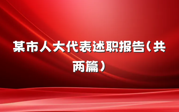某市人大代表述职报告（共两篇）