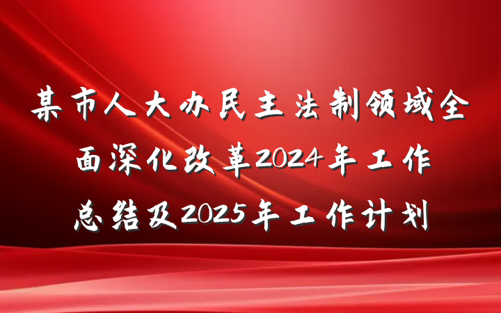 某市人大办民主法制领域全面深化改革2024年工作总结及2025年工作计划