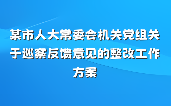 某市人大常委会机关党组关于巡察反馈意见的整改工作方案