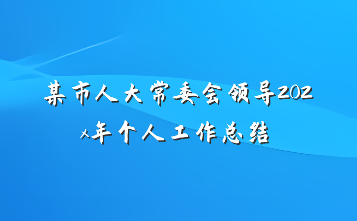某市人大常委会领导202x年个人工作总结