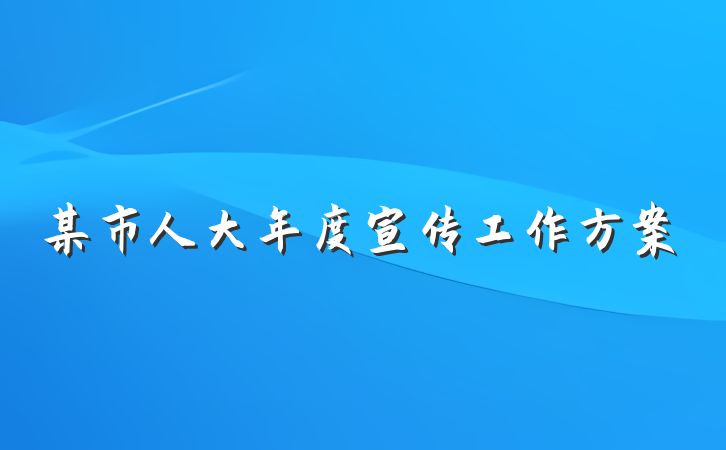 某市人大年度宣传工作方案