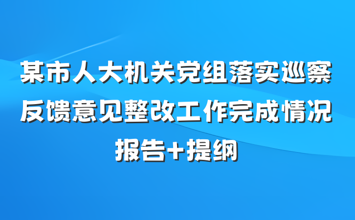 某市人大机关党组落实巡察反馈意见整改工作完成情况报告 提纲