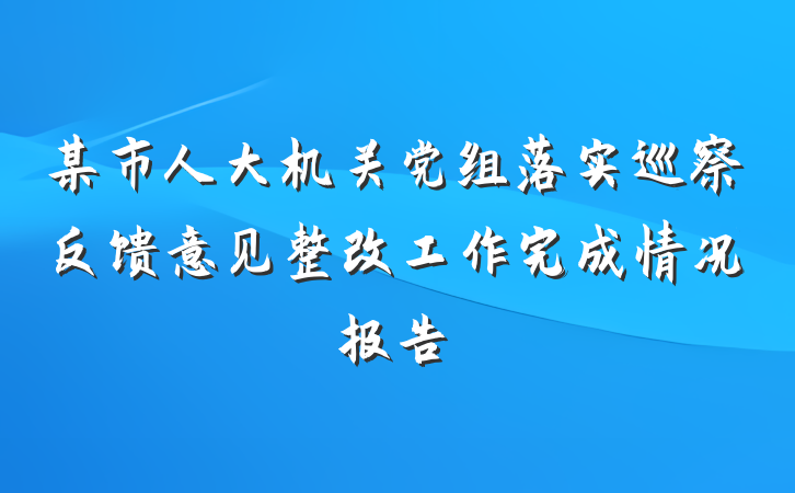 某市人大机关党组落实巡察反馈意见整改工作完成情况报告