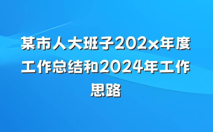 某市人大班子202x年度工作总结和2024年工作思路