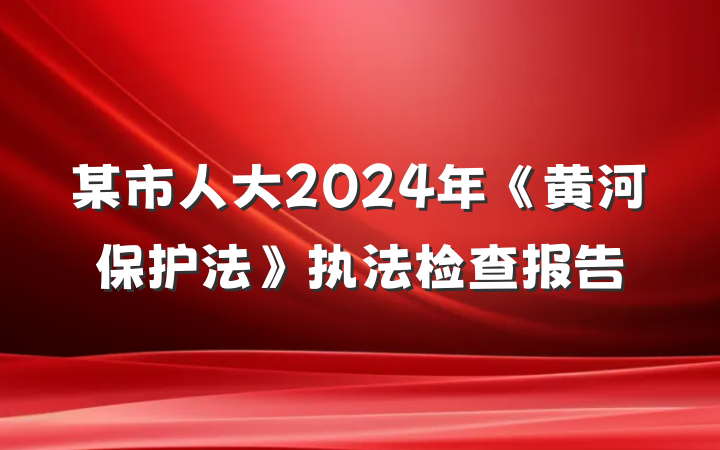 某市人大2024年《黄河保护法》执法检查报告