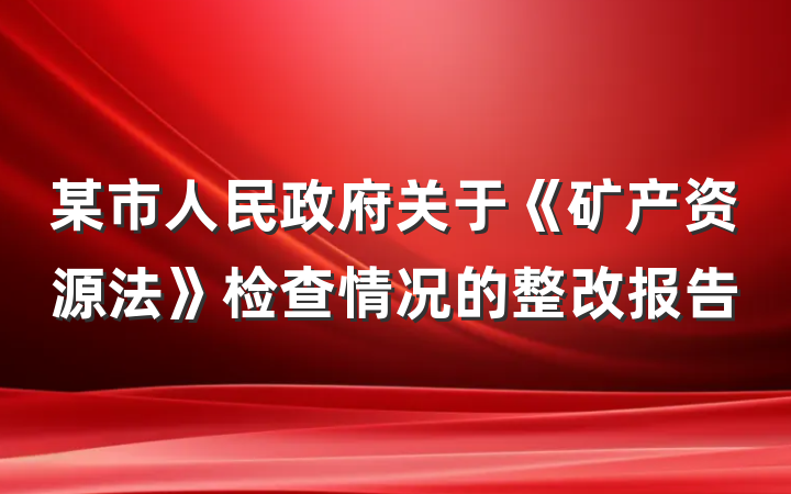 某市人民政府关于《矿产资源法》检查情况的整改报告
