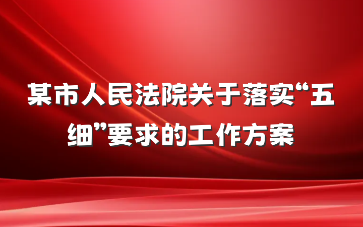 某市人民法院关于落实“五细”要求的工作方案