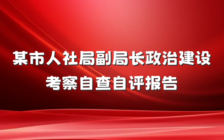某市人社局副局长政治建设考察自查自评报告