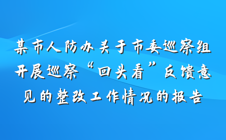 某市人防办关于市委巡察组开展巡察“回头看”反馈意见的整改工作情况的报告