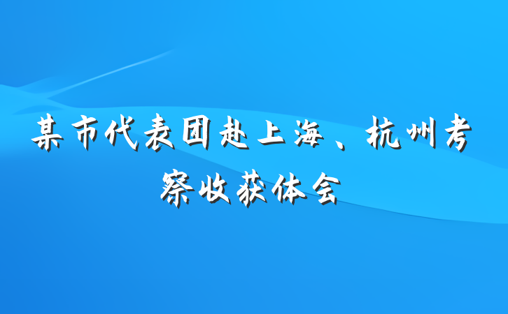 某市代表团赴上海、杭州考察收获体会