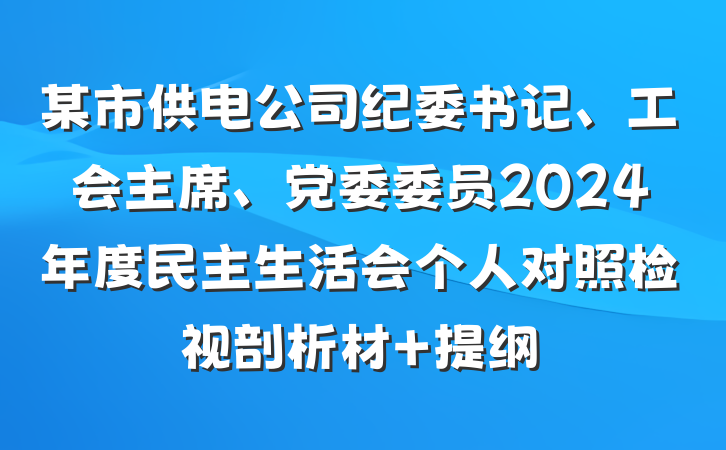 某市供电公司纪委书记、工会主席、党委委员2024年度民主生活会个人对照检视剖析材 提纲