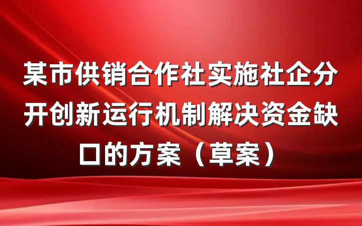 某市供销合作社实施社企分开创新运行机制解决资金缺口的方案（草案）