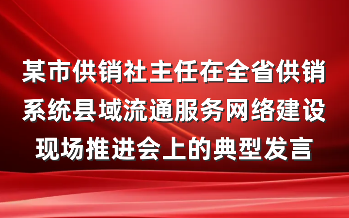 某市供销社主任在全省供销系统县域流通服务网络建设现场推进会上的典型发言