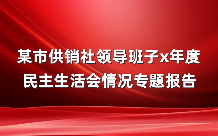 某市供销社领导班子x年度民主生活会情况专题报告