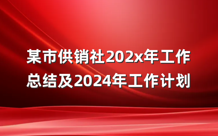 某市供销社202x年工作总结及2024年工作计划