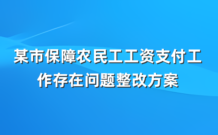 某市保障农民工工资支付工作存在问题整改方案