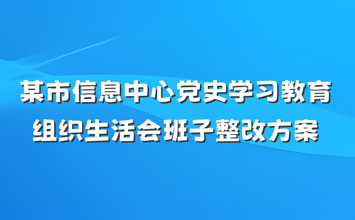 某市信息中心党史学习教育组织生活会班子整改方案