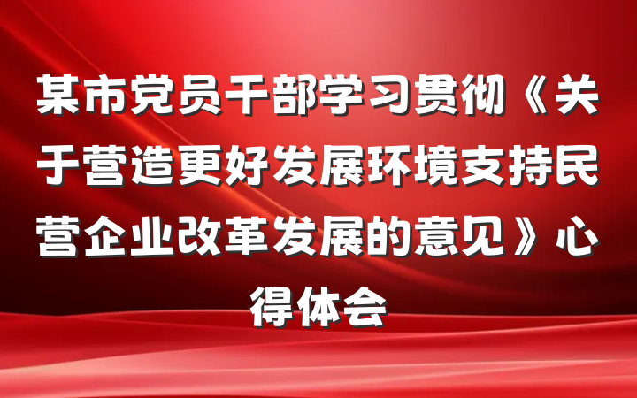 某市党员干部学习贯彻《关于营造更好发展环境支持民营企业改革发展的意见》心得体会