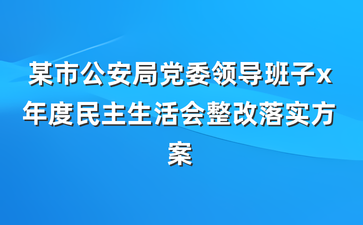 某市公安局党委领导班子x年度民主生活会整改落实方案