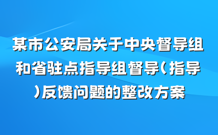 某市公安局关于中央督导组和省驻点指导组督导(指导)反馈问题的整改方案