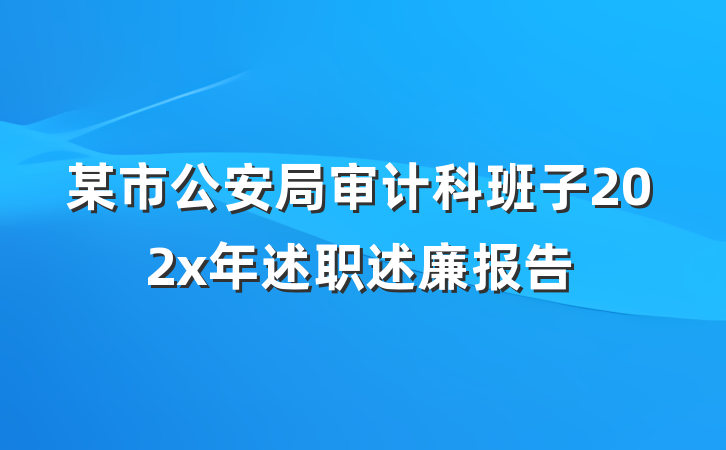 某市公安局审计科班子202x年述职述廉报告