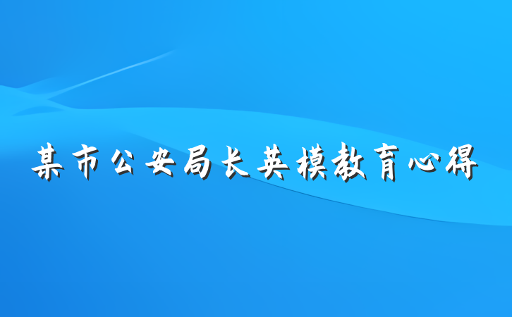 某市公安局长英模教育心得