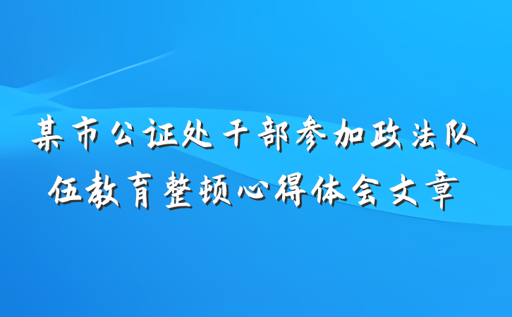 某市公证处干部参加政法队伍教育整顿心得体会文章