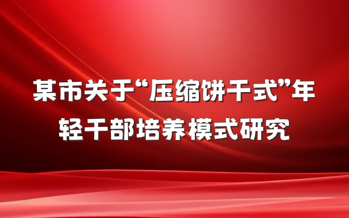 某市关于“压缩饼干式”年轻干部培养模式研究