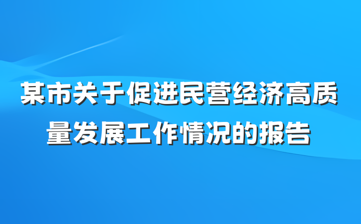 某市关于促进民营经济高质量发展工作情况的报告