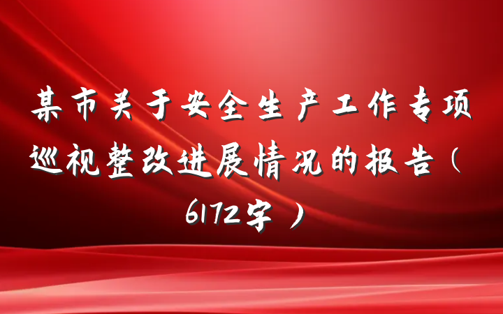 某市关于安全生产工作专项巡视整改进展情况的报告（6172字）