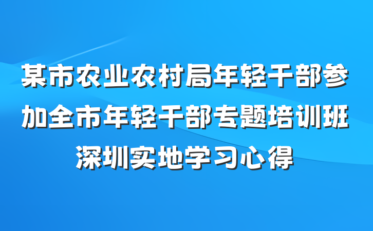 某市农业农村局年轻干部参加全市年轻干部专题培训班深圳实地学习心得